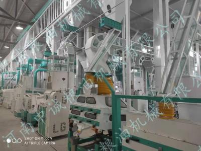 50吨级碾米机设备